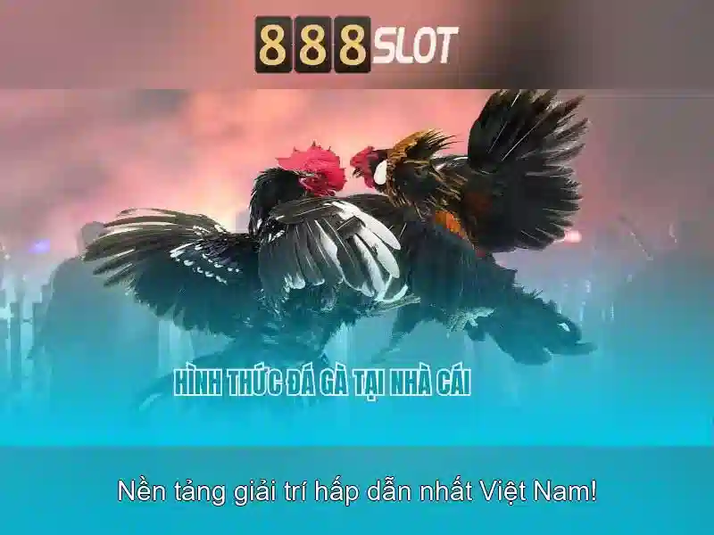 Khuyến mãi và chương trình khách hàng thân thiết