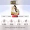 888slot - Đánh Giá Nền Tảng Slot Trực Tuyến